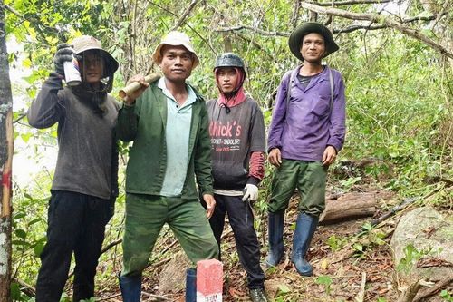 Dựa vào dân để giữ rừng