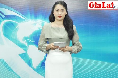 Gia Lai 24h: Lãnh đạo tỉnh Gia Lai dâng hoa tưởng niệm Anh hùng Núp