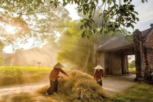 Nắng đã gọi hè