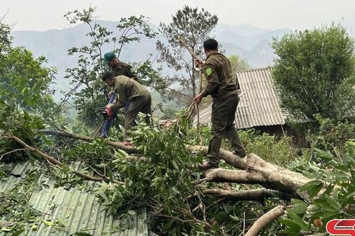 Mường La mưa to, gió lốc gây thiệt hại trên 330 triệu đồng