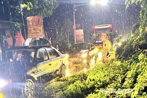Cảnh sát giao thông Công an Tuyên Quang dọn dẹp cây đổ để phương tiện lưu thông an toàn