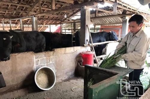 Sức bật từ các chương trình mục tiêu quốc gia