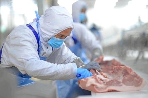 Giá heo hơi hồi phục, BAF Việt Nam (BAF) báo lãi tăng gấp 38 lần