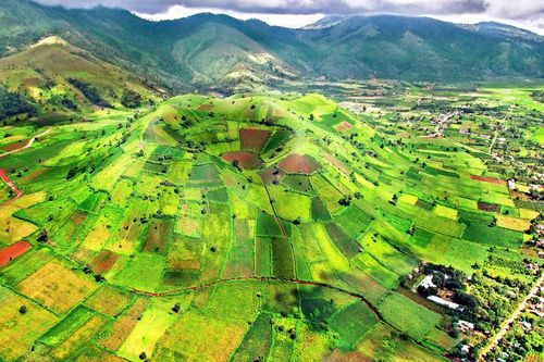 Đưa Tây Nguyên thoát khỏi 'vùng trũng' trong phát triển ngoại thương