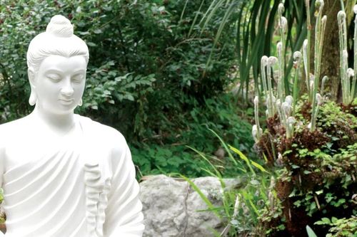 Năm thứ quý giá ở đời