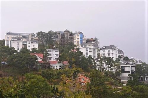 Lâm Đồng: Xử lý doanh nghiệp tự ý chuyển mục đích sử dụng đất rừng