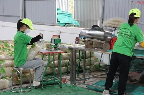 HTX 'nhàn tênh' khi đưa máy móc hiện đại vào sản xuất mì gạo truyền thống