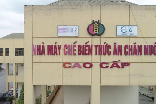 Dabaco có lãi trở lại, nợ ngắn hạn giảm xuống mức 6.500 tỷ đồng