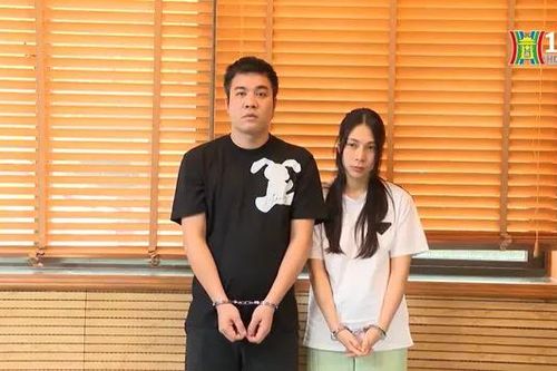 Triệt phá ổ nhóm chuyên môi giới, tổ chức mang thai hộ