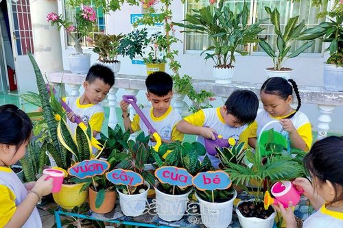 'Trường học xanh' - Mô hình giáo dục hiệu quả