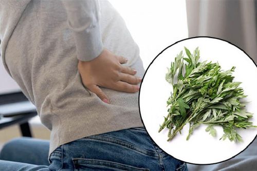 Loại dược liệu dân gian có trong vườn nhà, chữa đau xương khớp hiệu quả