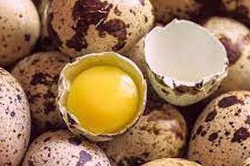 9 lợi ích sức khỏe bất ngờ của trứng cút