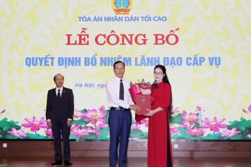 Bổ nhiệm nữ Thẩm tra viên chính giữ chức Phó Vụ trưởng
