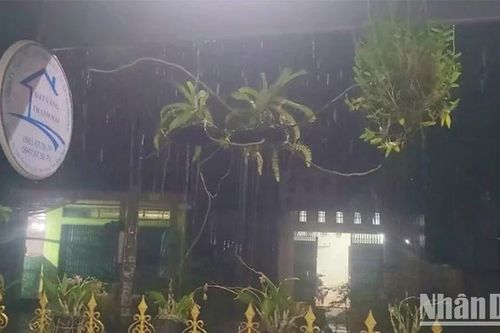 Đồng Tháp xuất hiện mưa về đêm lớn nhất từ đầu năm nay