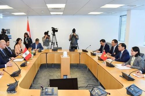 OECD: Thúc đẩy quan hệ kinh tế Việt Nam-Peru, 1 trong 5 đối tác kinh tế quan trọng hàng đầu tại khu vực