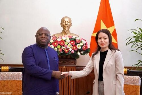 Thúc đẩy quan hệ hữu nghị và hợp tác Việt Nam-Sierra Leone thực chất trong thời gian tới