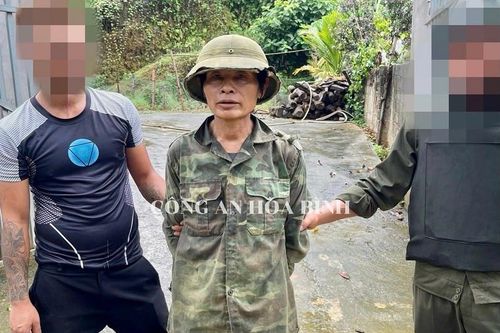 Bắt đối tượng cầm 'phóng lợn' đâm trọng thương cán bộ công an