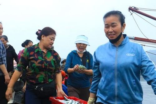 Nhộn nhịp bến cá Cửa Lò lúc bình minh