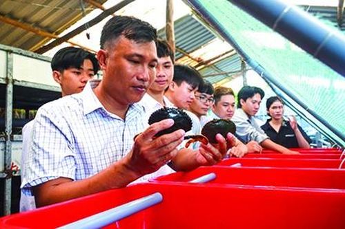 Tiến sĩ trẻ 'say nắng' con 8 cẳng 2 càng