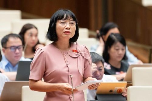 Đại biểu Quốc hội: 'Luật nào cũng đề nghị thành lập quỹ thì hiệu quả chưa cao'