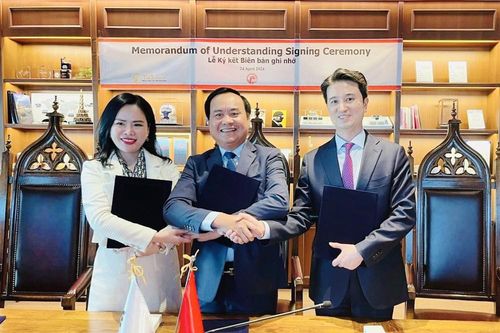Tỉnh Quảng Trị, T&T Group hợp tác SK E&S chuyển đổi năng lượng, tăng trưởng xanh