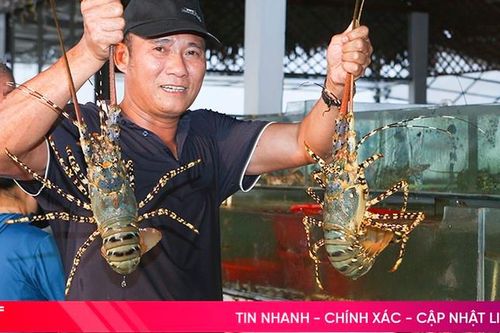 Tháng chớm hè, khu du lịch Thiên Cầm thu về khoảng 93 tỷ đồng