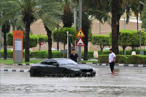 Mưa lớn gây gián đoạn hoạt động hàng không tại UAE