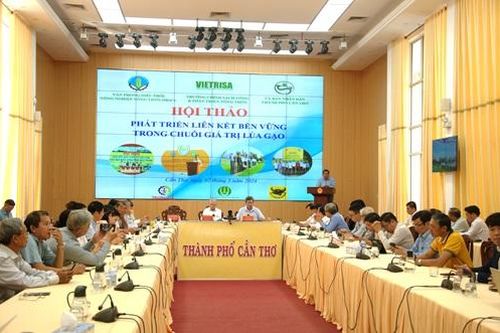 Định vị vai trò thương lái trong chuỗi ngành hàng lúa gạo