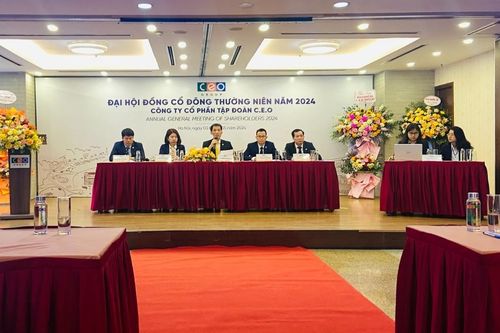 Chủ tịch CEO Group: Thị trường bất động sản sẽ có 'quả ngọt' vào năm 2026