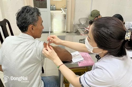 Thêm 4 trường hợp ở Trảng Bom bị chó dại cắn và tiếp xúc trực tiếp với dịch chó dại
