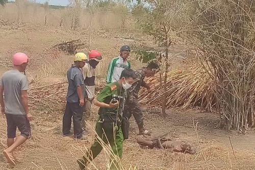 Phát hiện 1 thi thể trong vườn cao su ở xã Ia Blứ