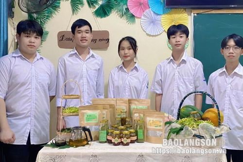 Trà đu đủ: Ý tưởng khởi nghiệp nhiều tiềm năng