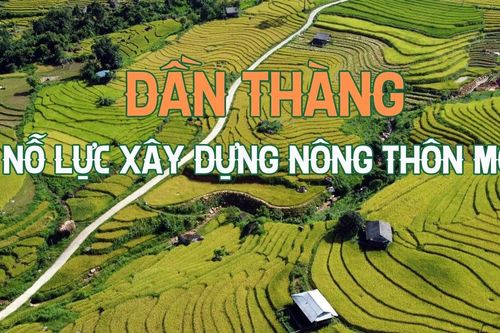 Dần Thàng nỗ lực xây dựng nông thôn mới