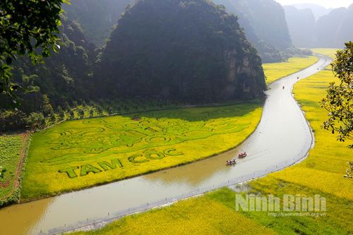 Tam Cốc tháng 5 về