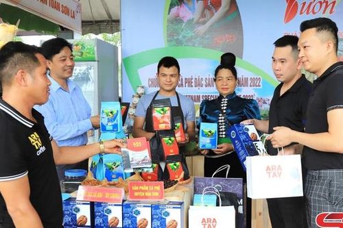 Sơn La có 6 mẫu cà phê tham dự Cuộc thi cà phê đặc sản Việt Nam