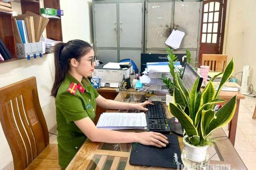 Tạo không gian xanh nơi công sở