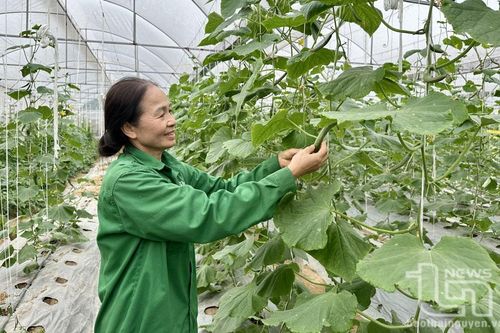 TP. Sông Công: Phấn đấu giảm tỷ lệ hộ nghèo còn 1,22%