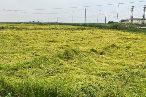 Huy động lực lượng hỗ trợ người dân khắc phục hậu quả sau cơn lốc