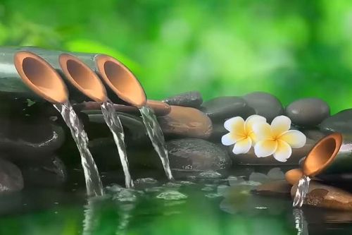 Ơn nước luôn tròn đầy