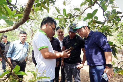Chàng thanh niên tiên phong làm nông nghiệp số