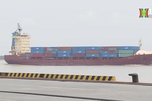 Doanh nghiệp xuất nhập khẩu chủ động vượt khó khăn