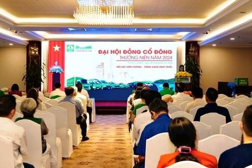 ĐHĐCĐ 2024 Taxi Mai Linh (MLG): Đặt mục tiêu lãi sau thuế gấp 15 lần, đạt 60 tỷ đồng