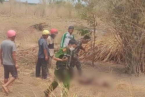 Phát hiện thi thể người đàn ông 65 tuổi trong vườn cao su