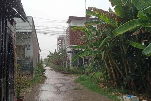 'Mưa vàng' giải nhiệt cho Kiên Giang, Đồng Tháp, Cần Thơ
