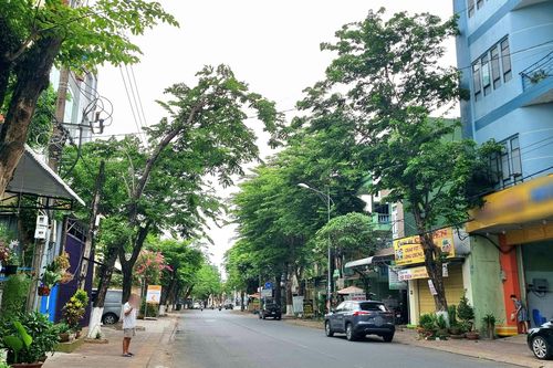 Bộ Công an yêu cầu Quảng Ngãi cung cấp tài liệu các dự án trồng cây đô thị
