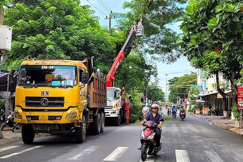 Quảng Ngãi rà soát, cung cấp thông tin, tài liệu các dự án trồng, chăm sóc cây xanh theo yêu cầu Bộ Công an