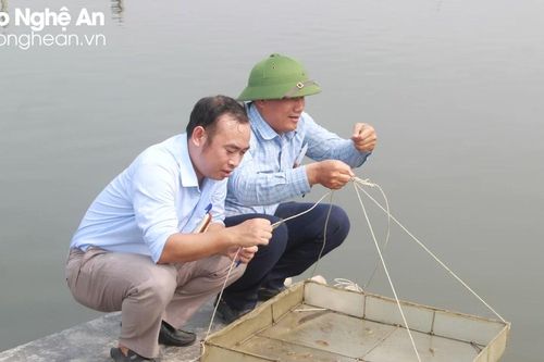 Bước đầu xác định nguyên nhân tôm chết bất thường ở Nghệ An