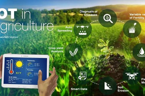 Những ứng dụng và lợi ích của Internet vạn vật trong nông nghiệp