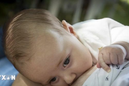 Xác định được cơ chế kháng thể trong sữa mẹ tác động đến não trẻ em