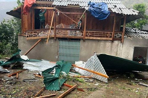 Khắc phục hậu quả dông lốc, mưa lớn gây ra đối với sản xuất nông nghiệp